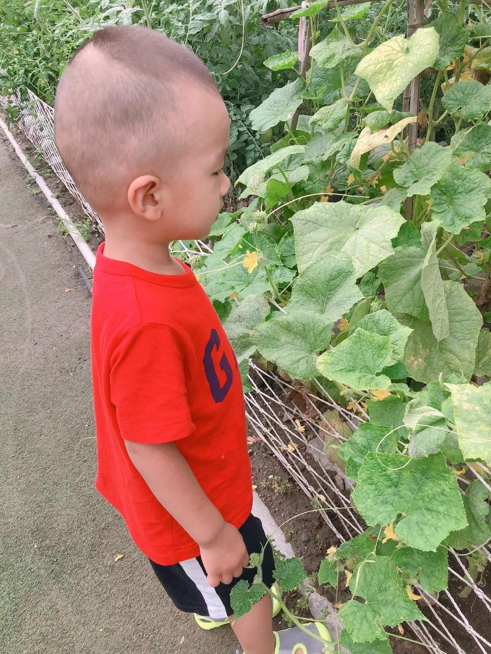 长春幼儿园