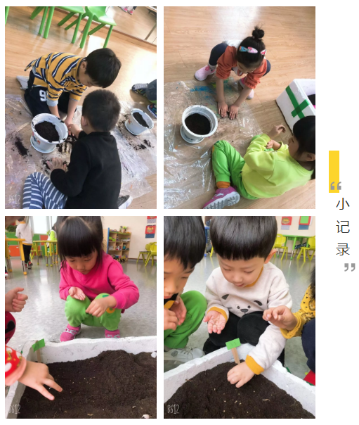 长春幼小衔接