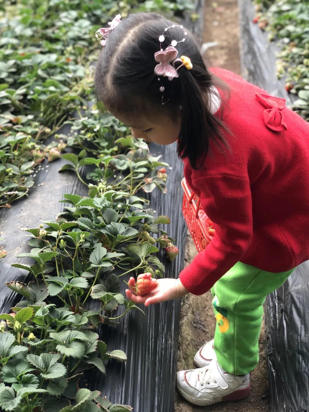 长春幼儿园