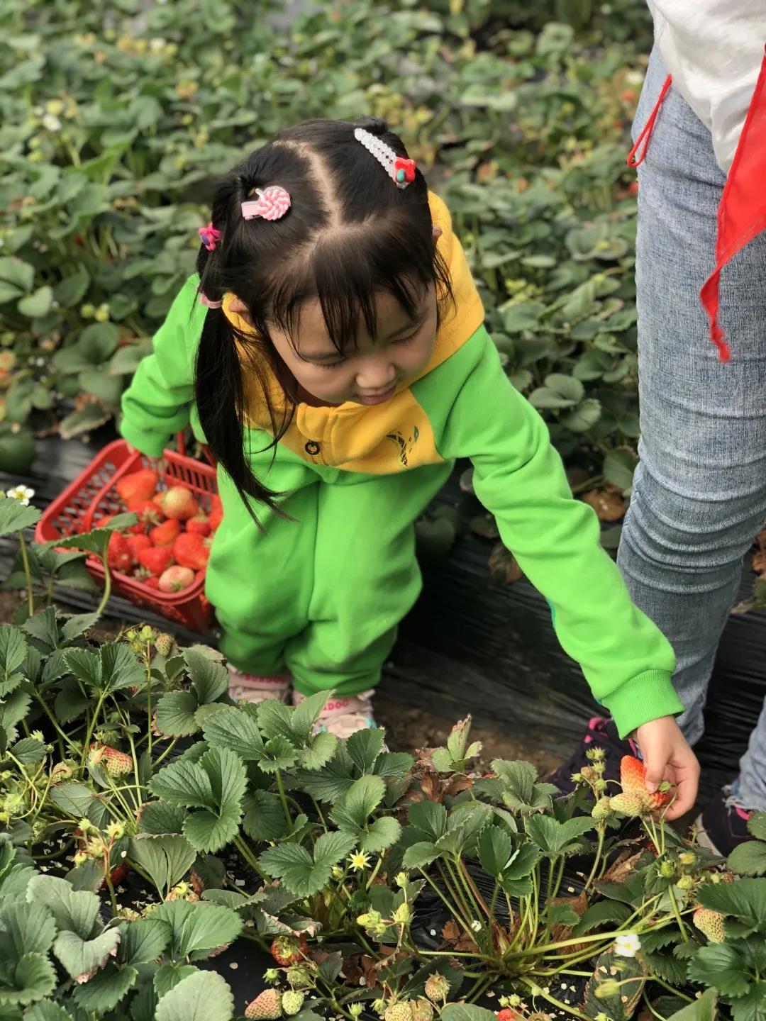 长春幼儿园