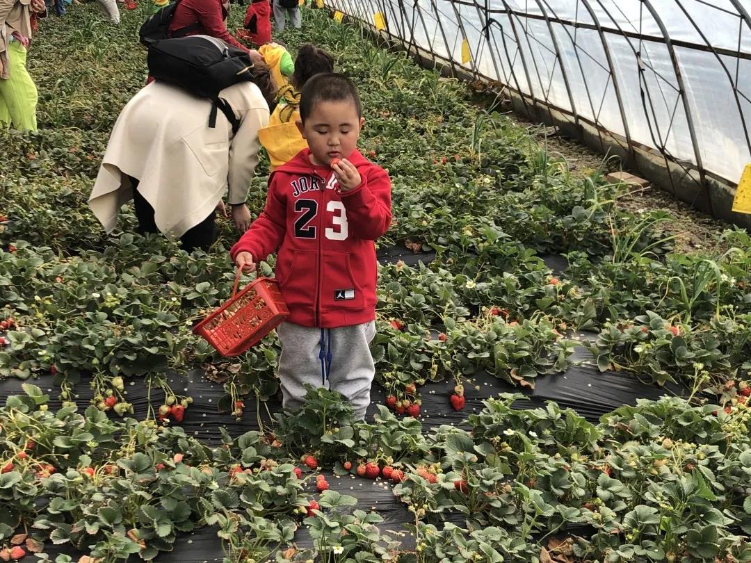 长春幼儿园